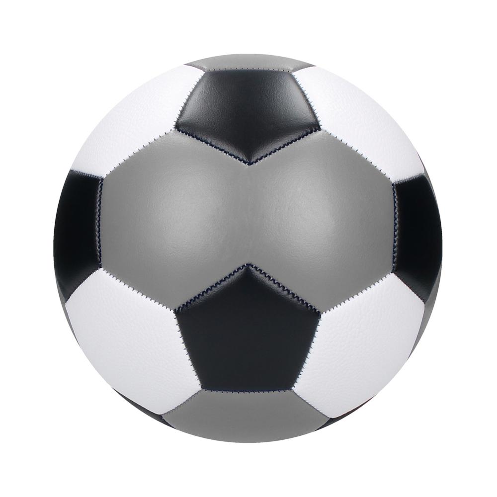 Voetbalkampioen