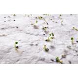 ASIDI - A4 zaadpapier wilde bloemen